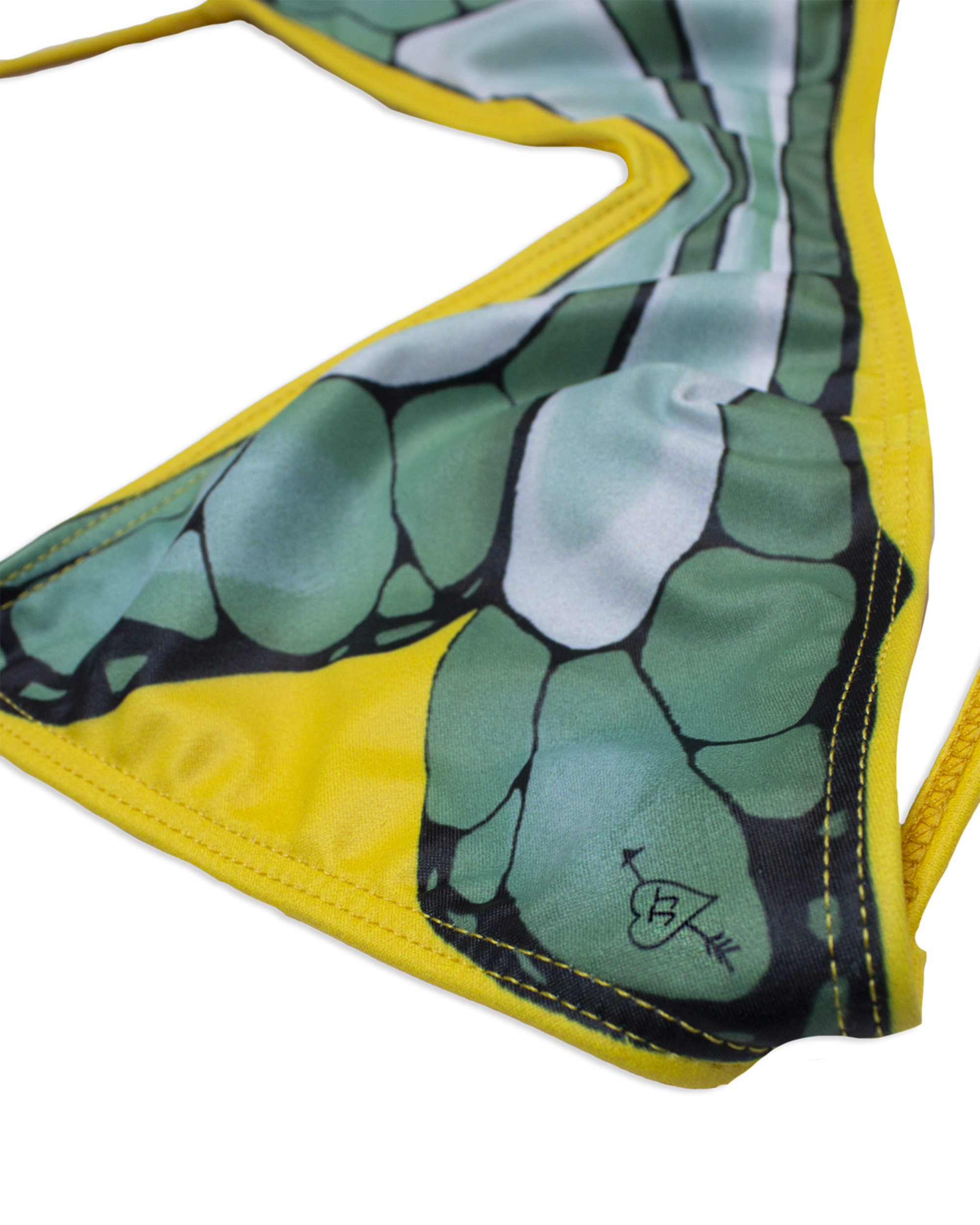 SUNFLOWER SAGE