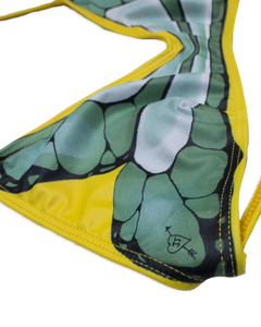 SUNFLOWER SAGE
