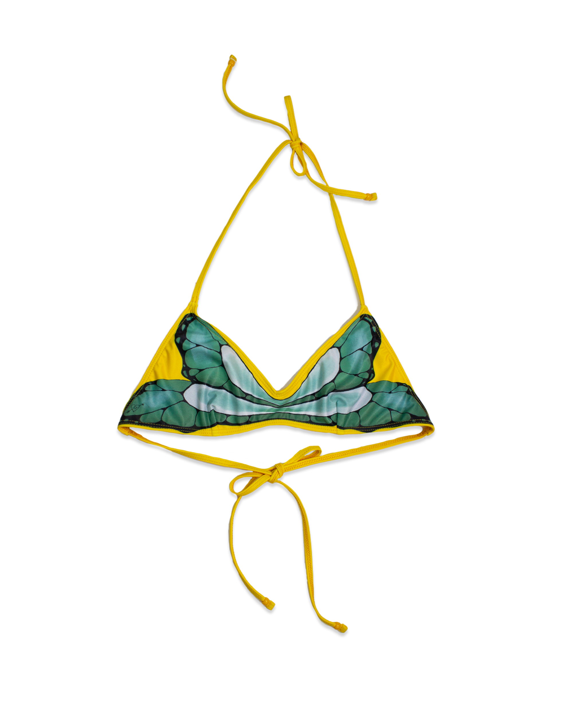 SUNFLOWER SAGE